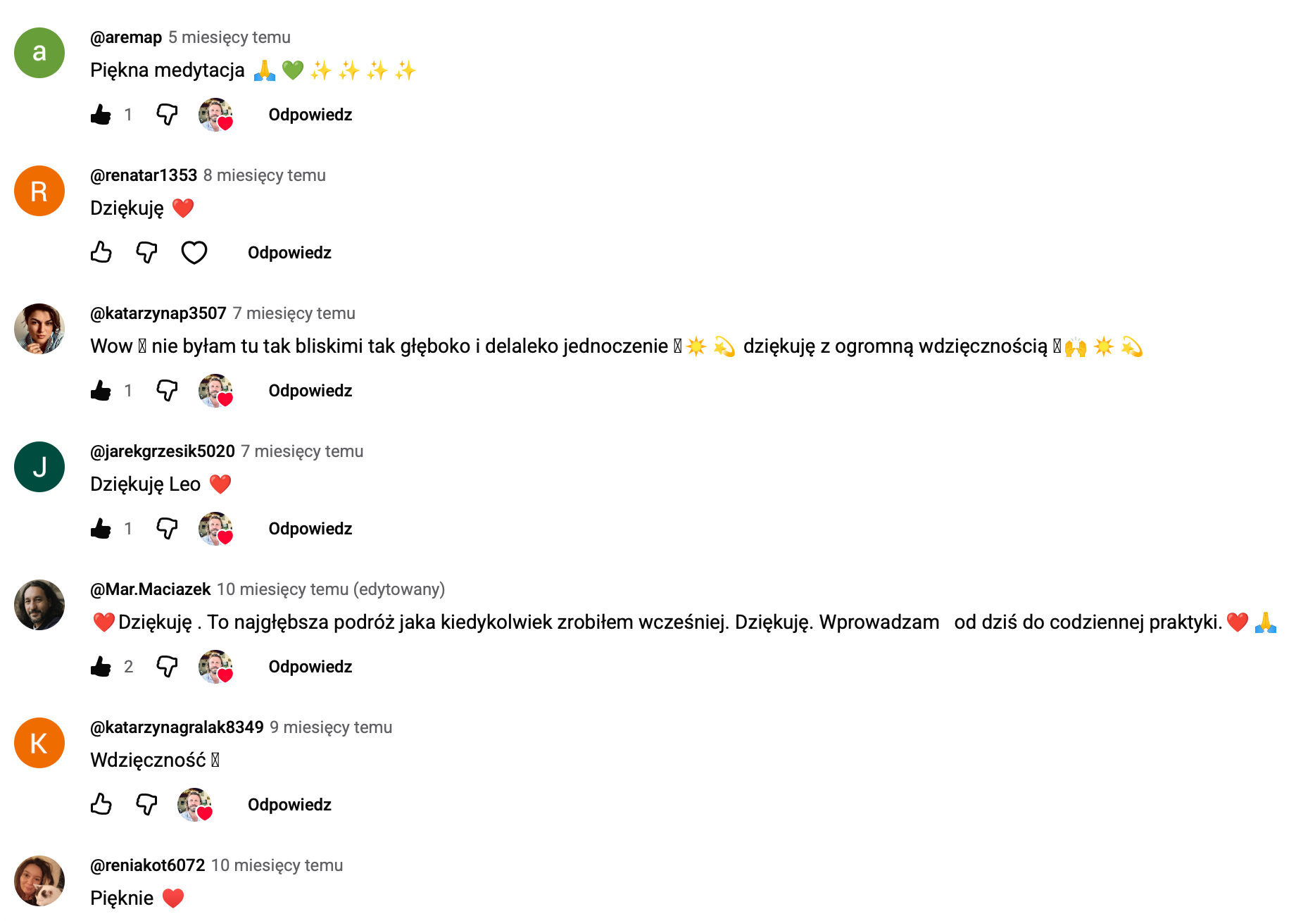 Komentarze uczestników dziękujących za medytację i opisujących głębokie doświadczenie praktyki